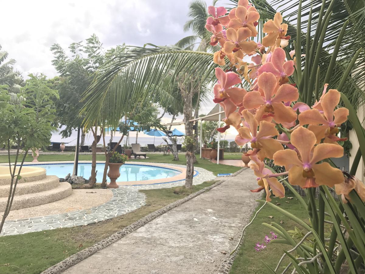 Cabilao Sunset Dive & Beach Resort Loon Extérieur photo